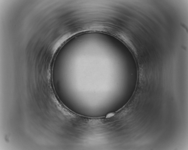 X0000102870944200808251238