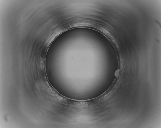 X0000102870945200808251238