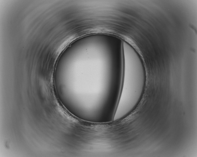 X0000102870946200808251238