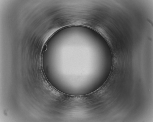 X0000102870948200808251238