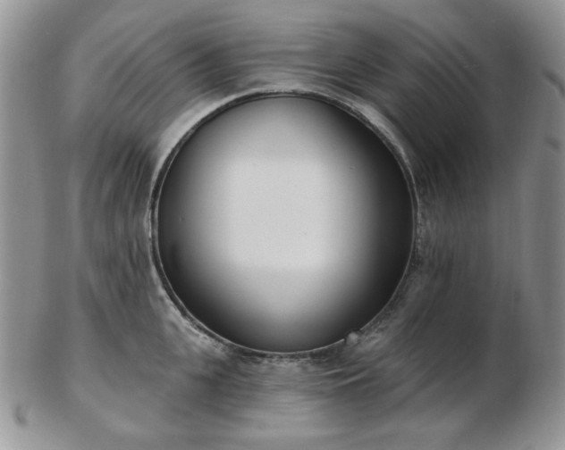 X0000102870951200808251238