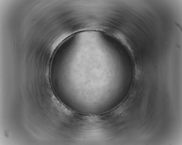 X0000102870952200808251238