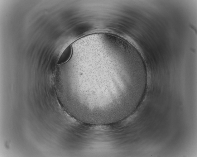 X0000102870953200808251238