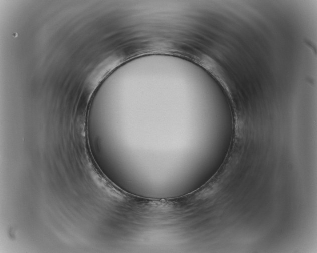 X0000102870954200808251238