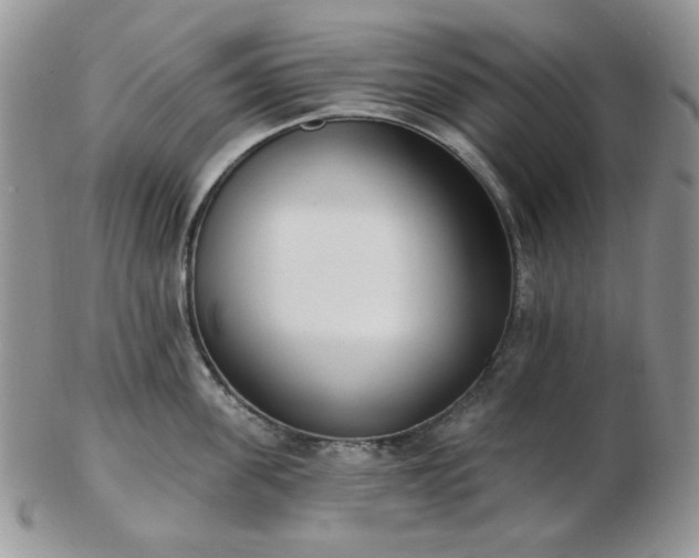 X0000102870955200808251238