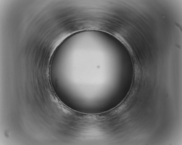 X0000102870956200808251238