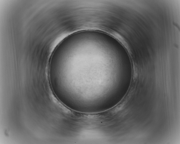 X0000102870958200808251238
