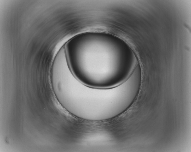X0000102870960200808251238
