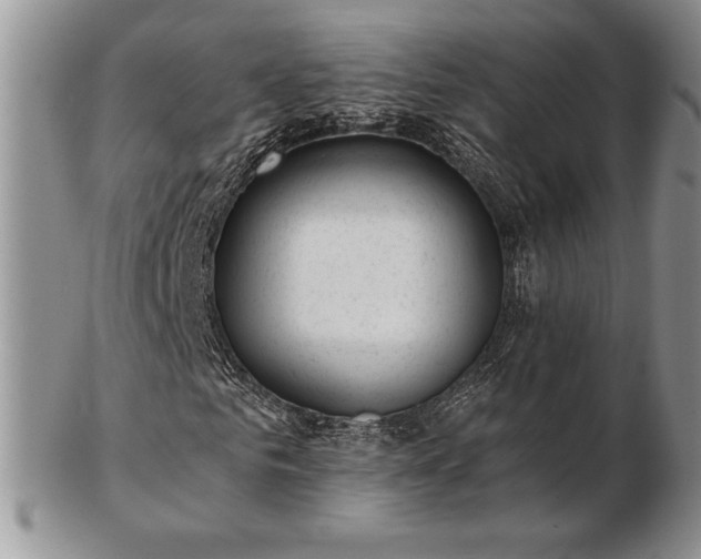 X0000102870961200808251237