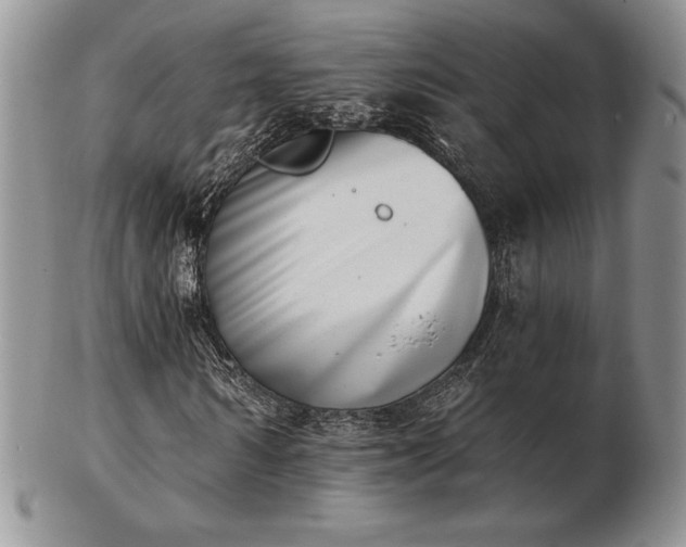 X0000102870962200808251237