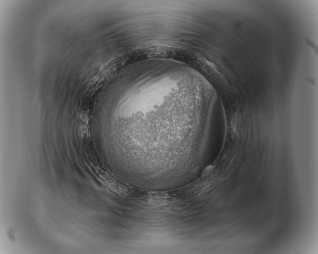 X0000102870964200808251237