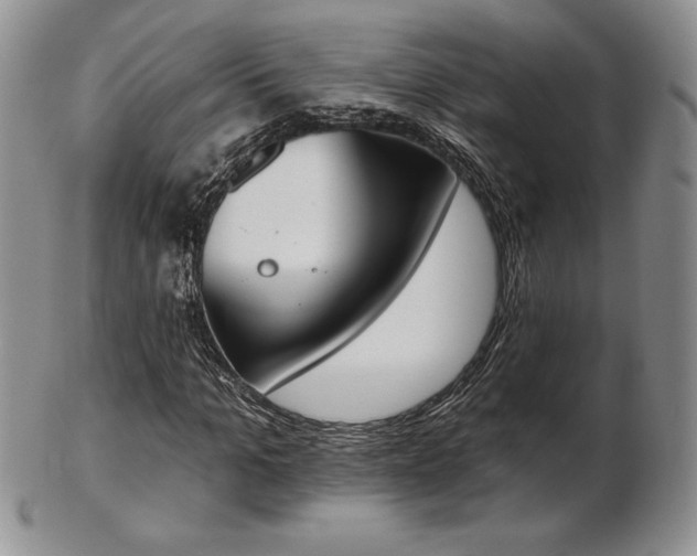 X0000102870965200808251237