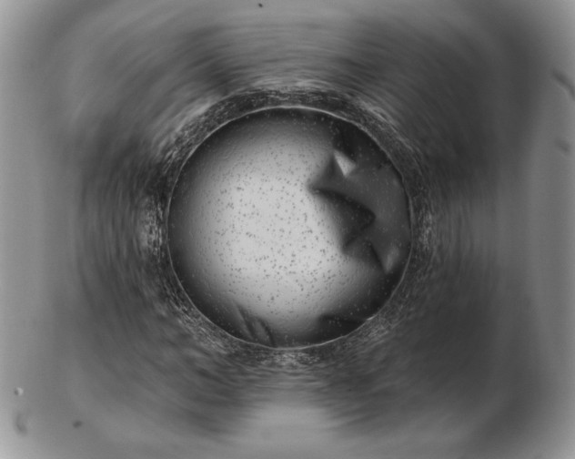 X0000102870966200808251237