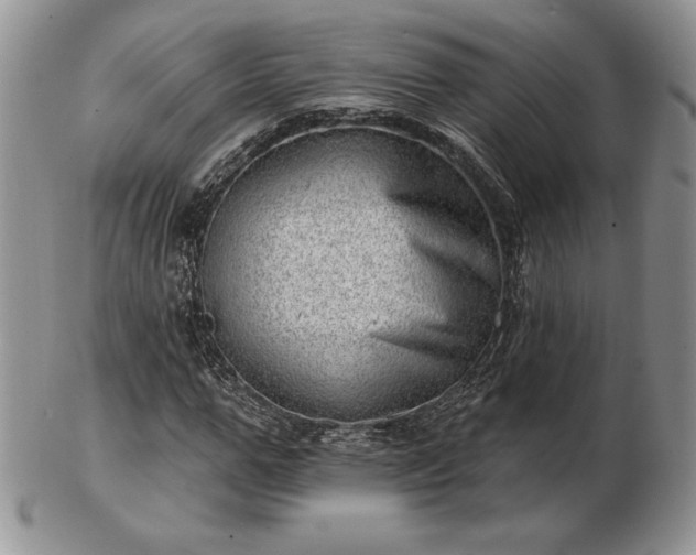 X0000102870967200808251237
