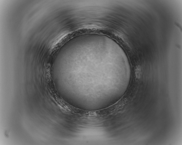 X0000102870968200808251237