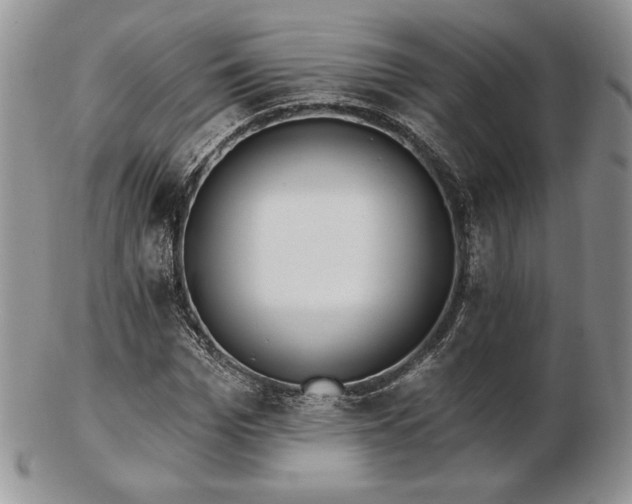 X0000102870969200808251237