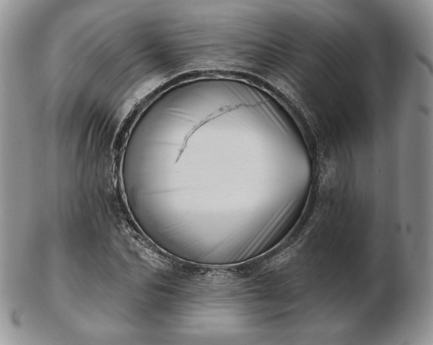 X0000102870974200808251237