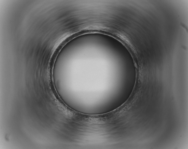 X0000102870976200808251237