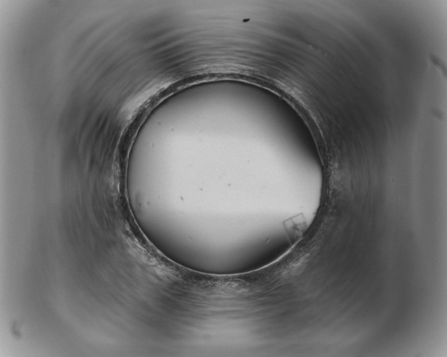 X0000102870979200808251237