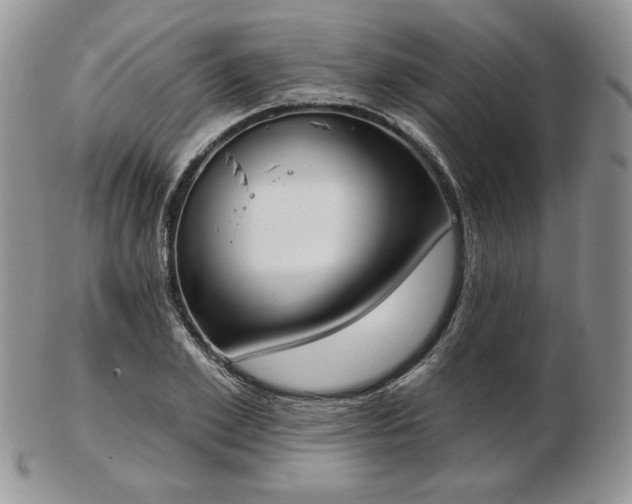 X0000102870981200808251237