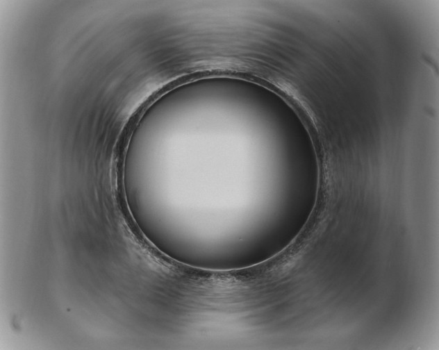 X0000102870983200808251237
