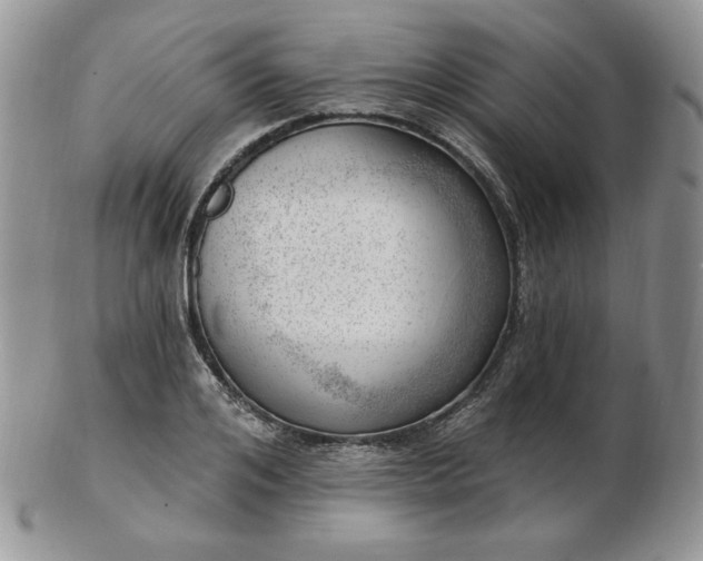 X0000102870984200808251237