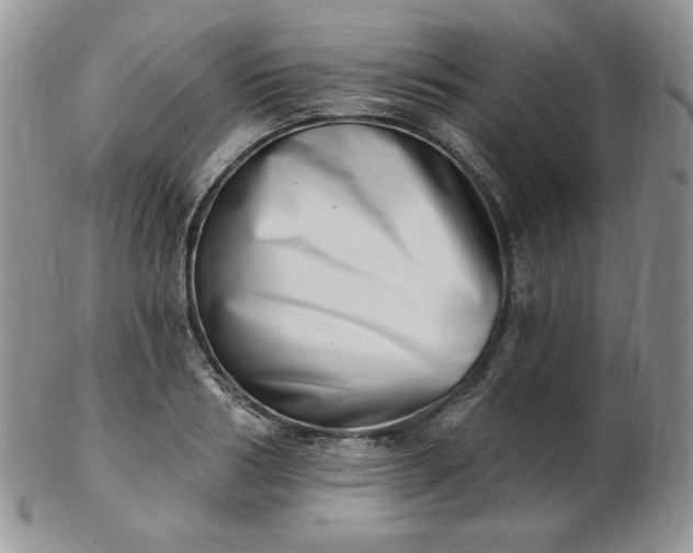 X0000102870986200808251237