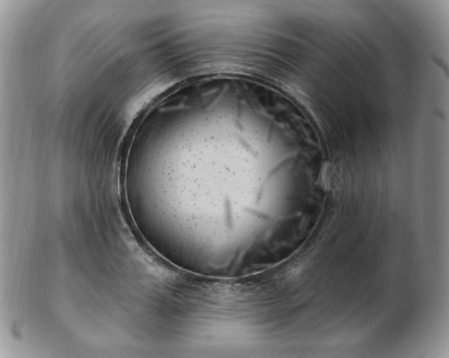 X0000102870987200808251237