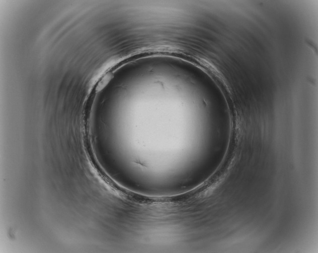 X0000102870989200808251237