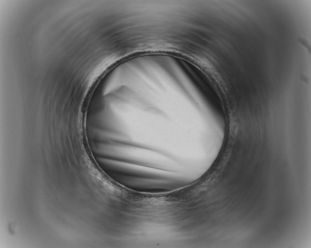 X0000102870990200808251237