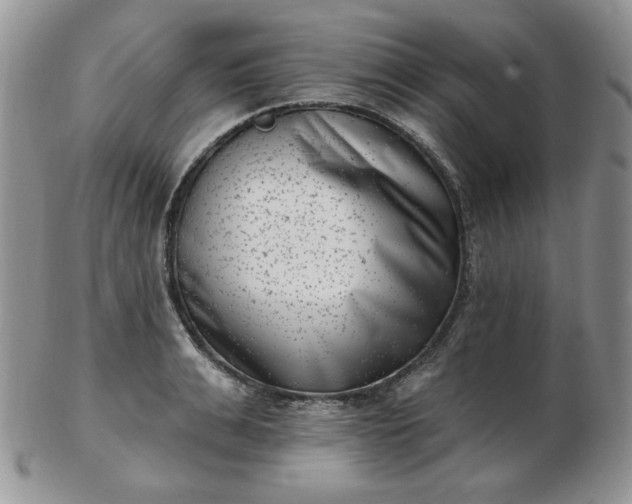 X0000102870991200808251237