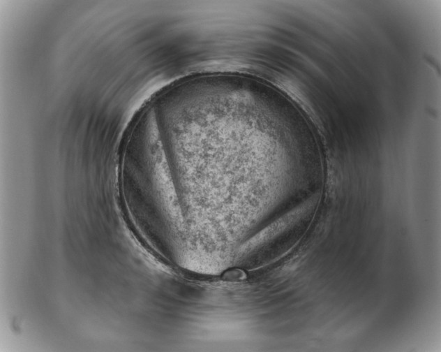 X0000102870992200808251237