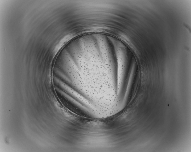 X0000102870994200808251237