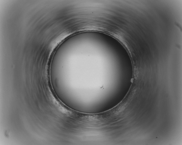 X0000102870995200808251237
