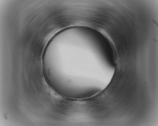 X0000102870996200808251237