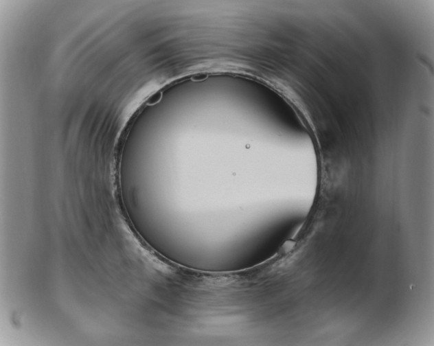 X0000102870997200808251237