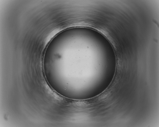 X0000102870998200808251237