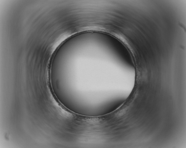 X0000102870999200808251237