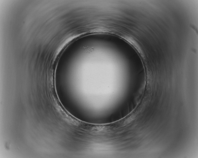 X0000102871000200808251237