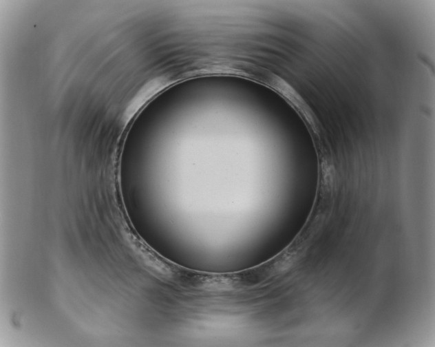 X0000102871002200808251237