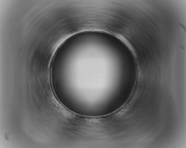 X0000102871004200808251237
