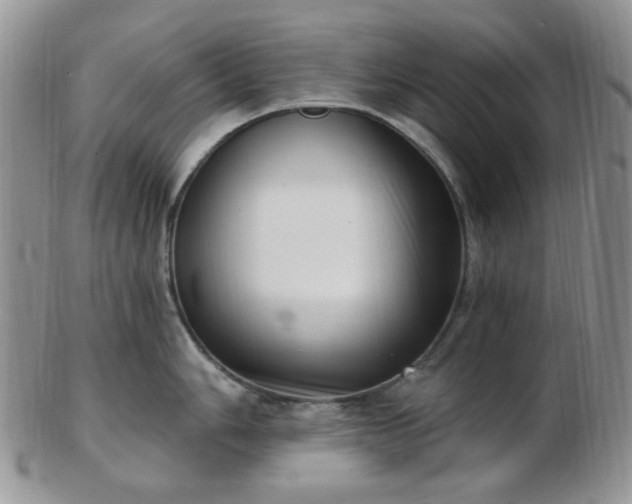 X0000102871006200808251237