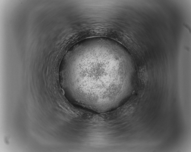 X0000102871009200808251236