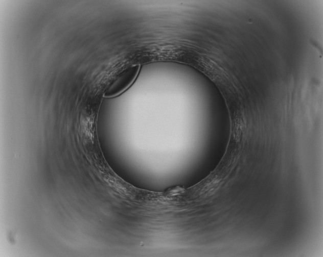 X0000102871010200808251236