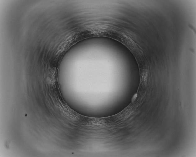 X0000102871012200808251236
