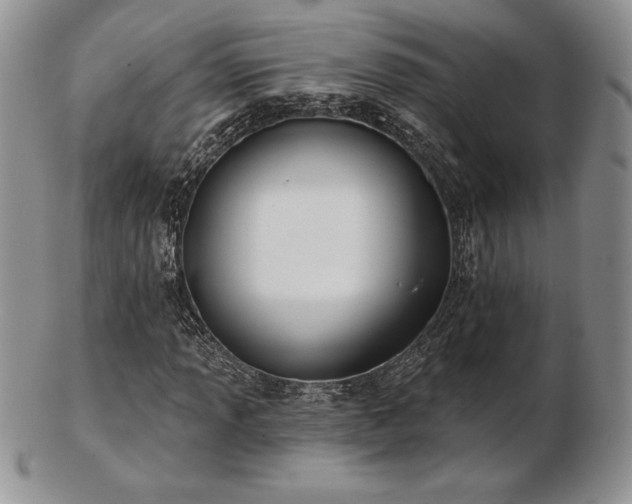 X0000102871013200808251236