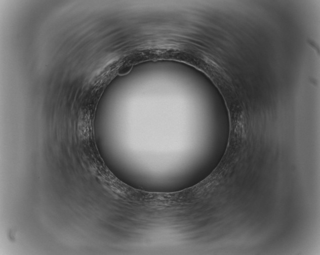 X0000102871014200808251236