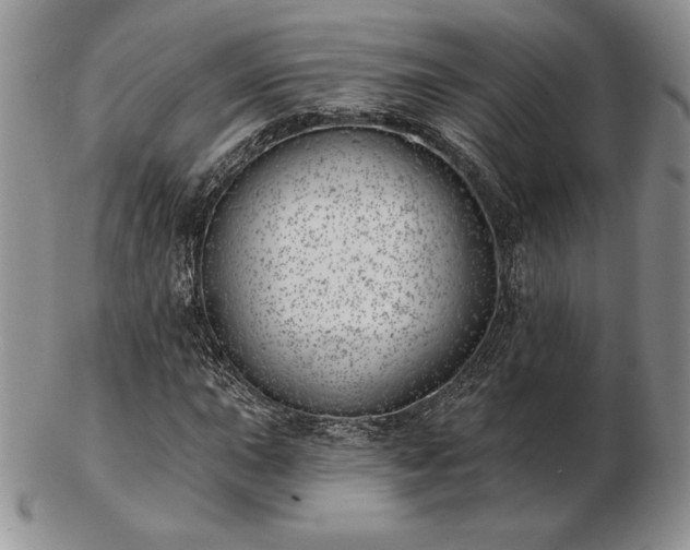 X0000102871015200808251236