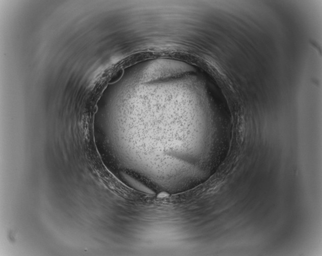 X0000102871016200808251236