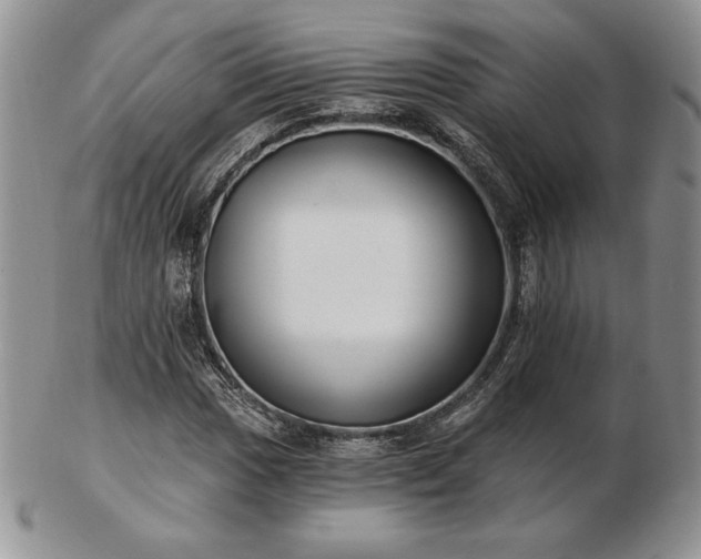 X0000102871017200808251236